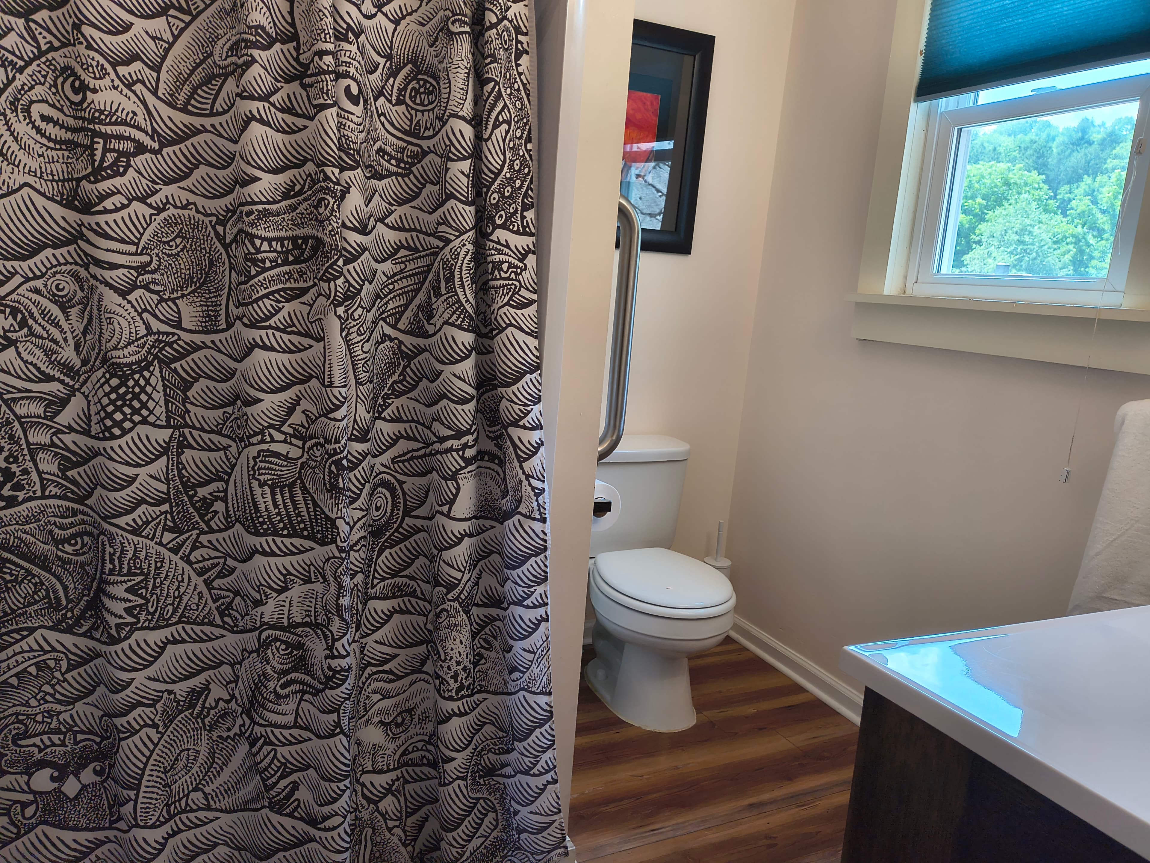 A bathroom scene featuring a patterned shower curtain, a toilet, and a window with a view.
