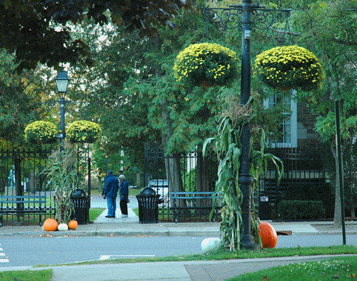 street in Cooperstown with street lanterns with flowers and fall decorations